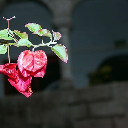 Sungate Hostel 库斯科 外观 照片